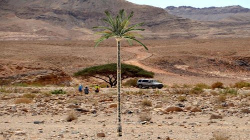 008 - Deserto de Negev e uma Tamareira em Imagem Sintética por Computador